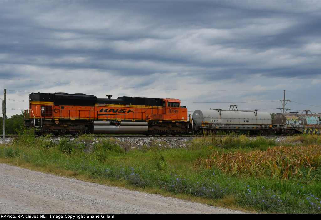 BNSF 8799 Roster shot